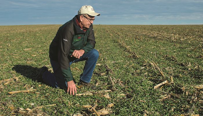 Farmer says livestock and grain farmers must work together