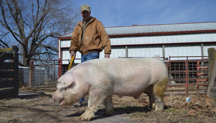 Albertson family recognized with Wergin Good Farm Neighbor Award