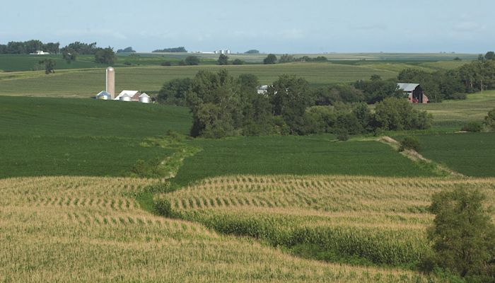 Iowa farmland prices show slight gain