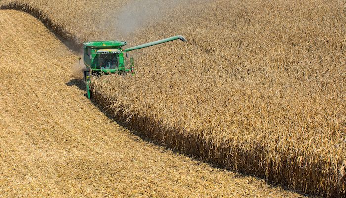 Corn stocks hit record, soybeans up 13 percent
