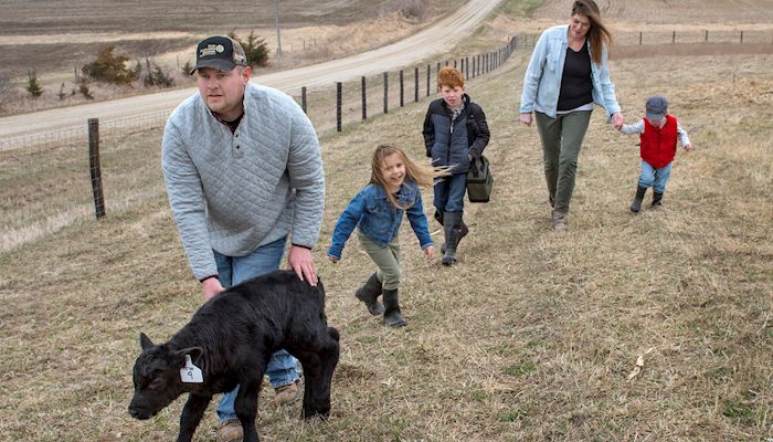 Farmer revels in calving season as he works to build his herd