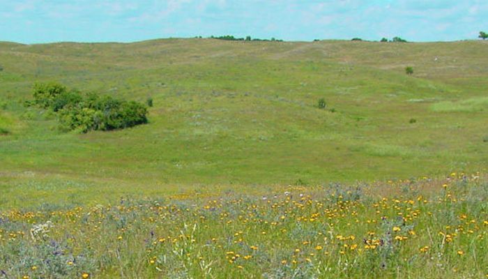 Farmers seek more flexible weed control on CRP acres