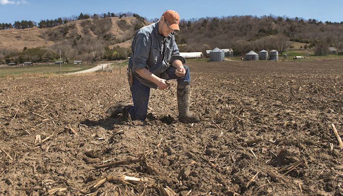 Farmers are anxious, but Iowa fields remain wet and cool