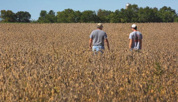 November Soybean Futures - Apr 19, 2017