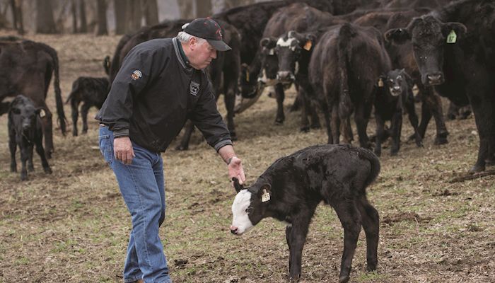 With plenty of beef available, farmers push to drive up demand