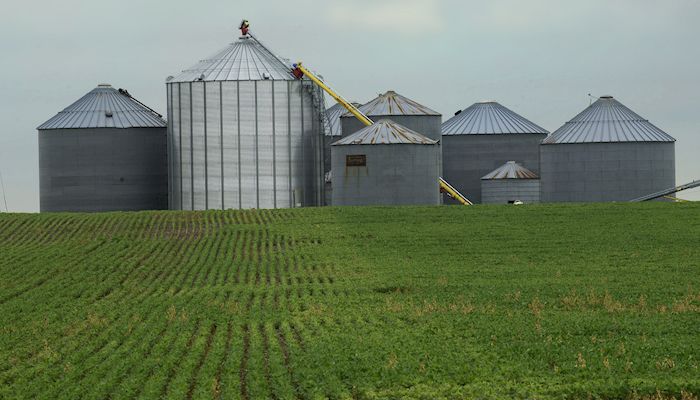 Iowa Corn & Soybean Basis - May 10, 2017