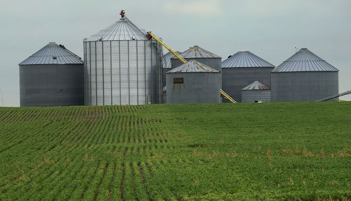 Iowa Corn & Soybean Basis - May 10, 2017