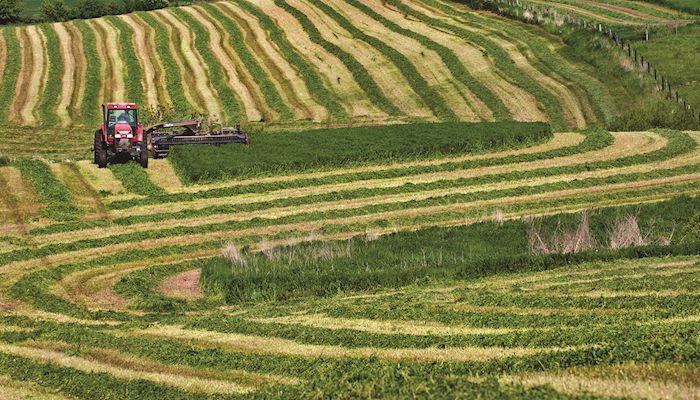 Iowa Hay Auctions - May 10, 2017