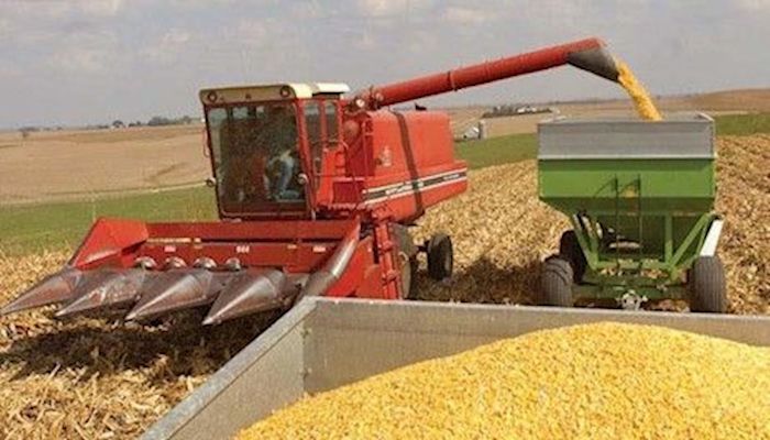 USDA projects smaller corn, soybeans crops