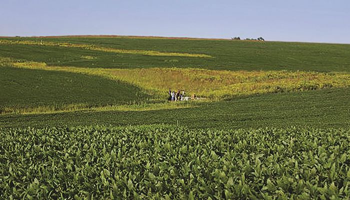 Iowa farmland prices show a slight rise