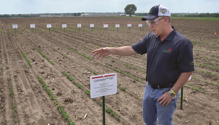 New seed treatment protects soybeans in cold, damp soil