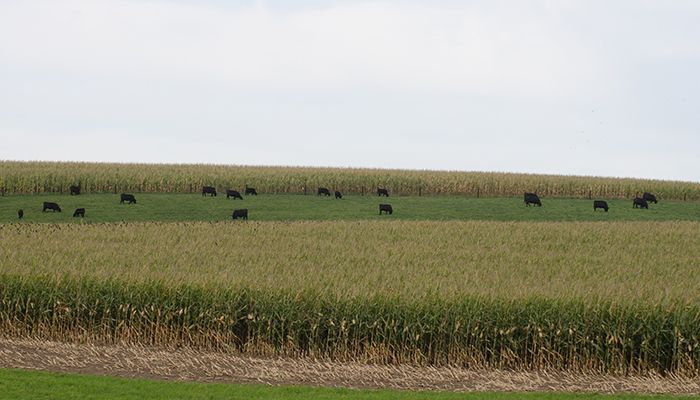 Low crop insurance losses in 2016