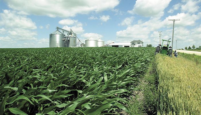 Iowa Corn & Soybean Basis - May 31, 2017
