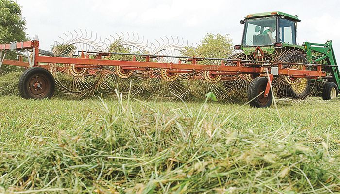 Iowa Hay Auctions - May 31, 2017