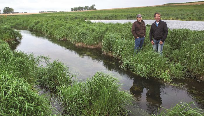 Farmers' water quality efforts help trout flourish in NE Iowa