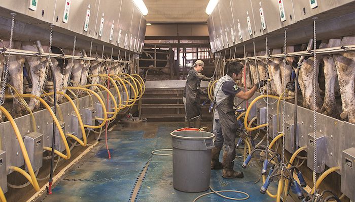 Summit Dairy open house June 28