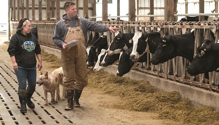 Californian finds opportunity in Iowa dairy farming