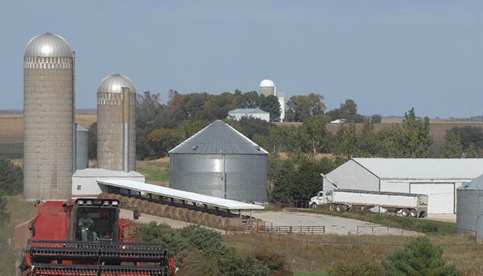 Wheat production still in question