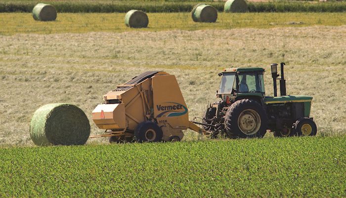 Iowa Hay Auctions - June 14, 2017