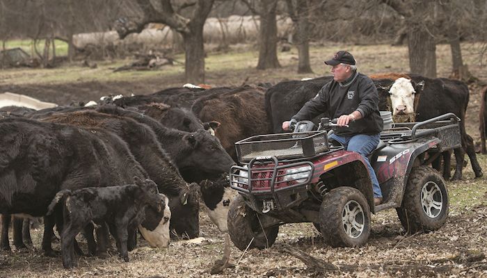 Cattlemen's president works to unify, promote industry