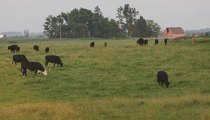 Tips on managing, maintaining valuable pasture