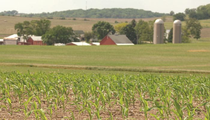 Monitoring corn’s nitrogen status for potential losses