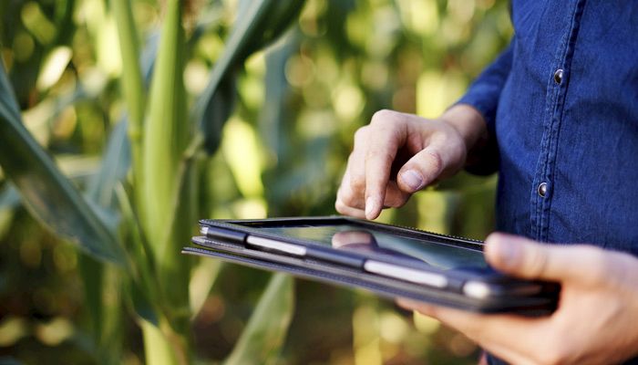 Farmer using ipad