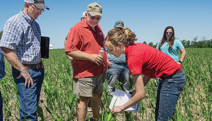 Hail damaged crops