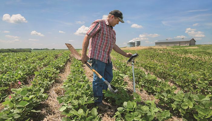 Conservation success inspires continued learning