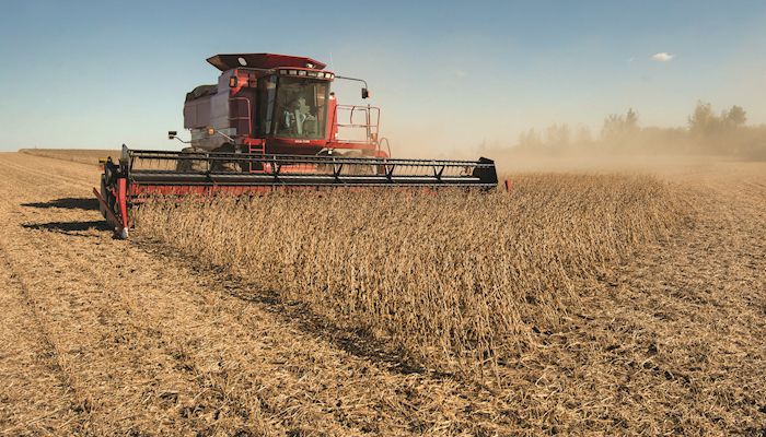 Soybean demand needs big crops needs big crops
