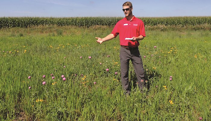 Research highlights farmers’ role in monarch restoration