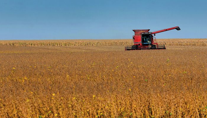 Soybean demand could be stronger than suggested
