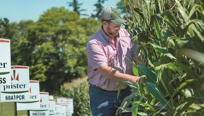 The Luellen Heritage Farm is always looking forward