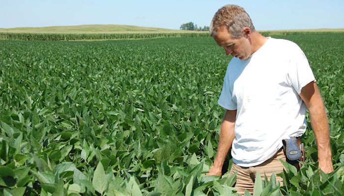 Washington Co. farmers leading the way in cover crops