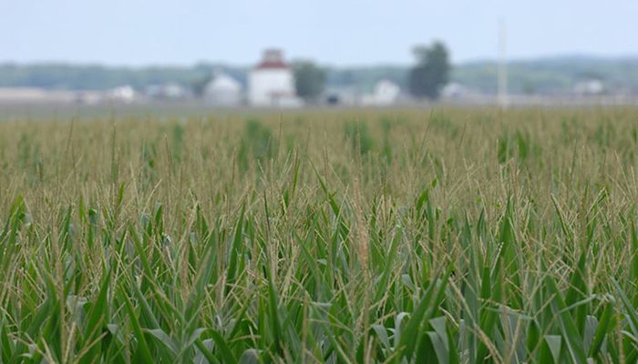 Corn Futures Carrying Charge as of 08/30/17