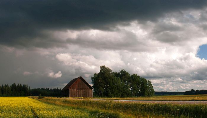 Late rains will boost soy yields