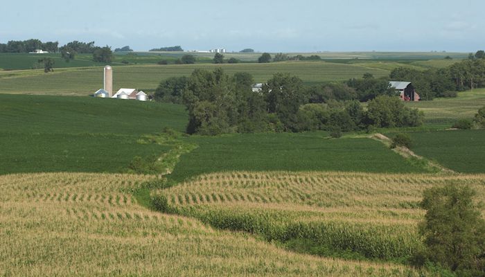 Iowa Cropland Cash Rent