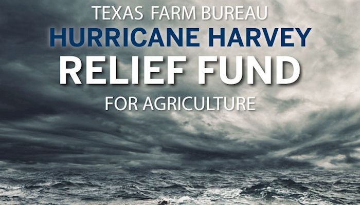 IFBF provides donation for hurricane relief