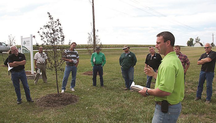 Tree windbreaks help livestock farms in a number of ways