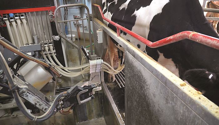 AFBF applauds USDA decision to allow dairy farmers to exit MPP
