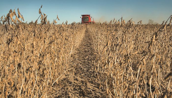 New Crop Soybean Futures - Sept. 27, 2017