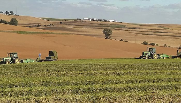 Iowa Hay Auctions - Sept. 27, 2017