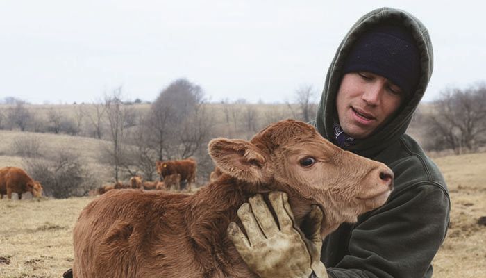 Standing up for livestock, and the future of Iowa ag