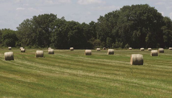 Iowa Hay Auctions - Oct. 4, 2017