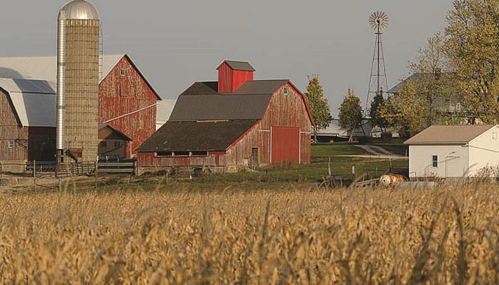 Iowa Commodity Prices - Oct. 4, 2017