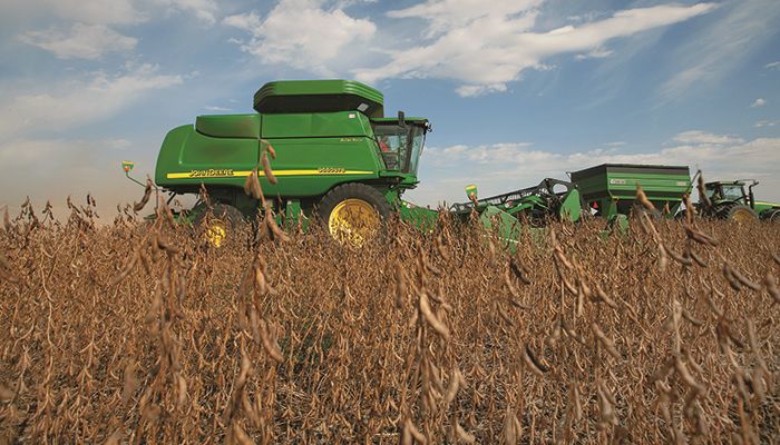 Early soybean yield reports come in above expectations