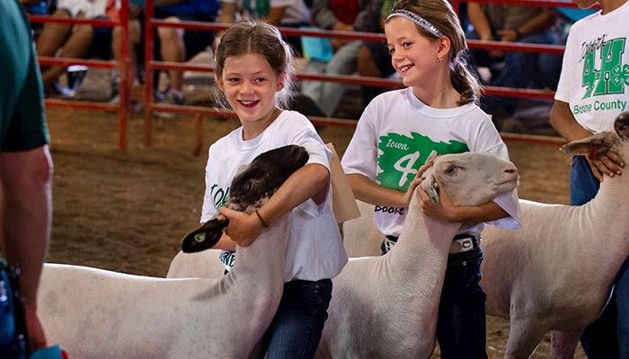 Lessons learned in the county fair “classroom”