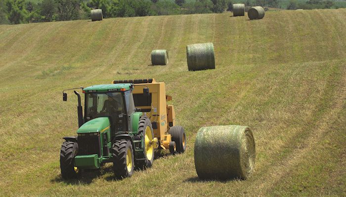 Iowa Hay Auctions - Oct. 11. 2017