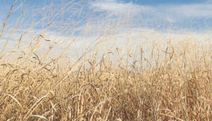 USDA puts hold on new CRP enrollments