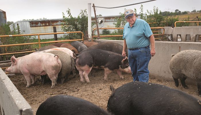 Pork leader using genetics to build pork demand
